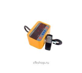 Весы крановые электронные