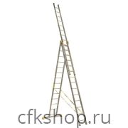 Лестница 3-х секционная алюминиевая 3*14