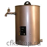 Кипятильник Дебис КНЭ-100-01 нерж. сталь