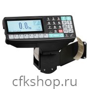 Терминал весовой МАССА-К R2P